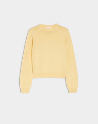 MAGLIA GIROCOLLO
Giallo